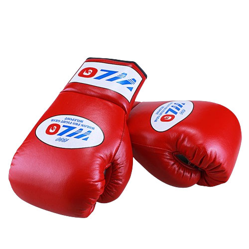 WLO Horse Hair boxing glove