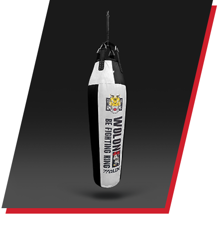 PUNCH BAG