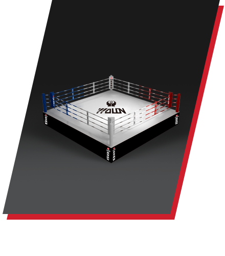 BOXING RING