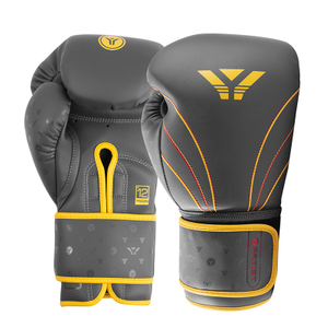 Artist Boxing glove