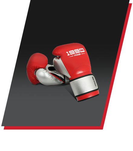 BOXING GLOVES