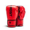 Punisher 2 PU Boxing Glove